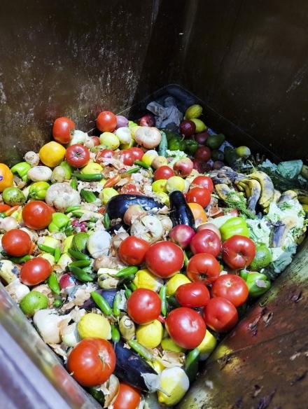 И в Пазарджишко изхвърляме тонове годна храна, даже и деликатеси